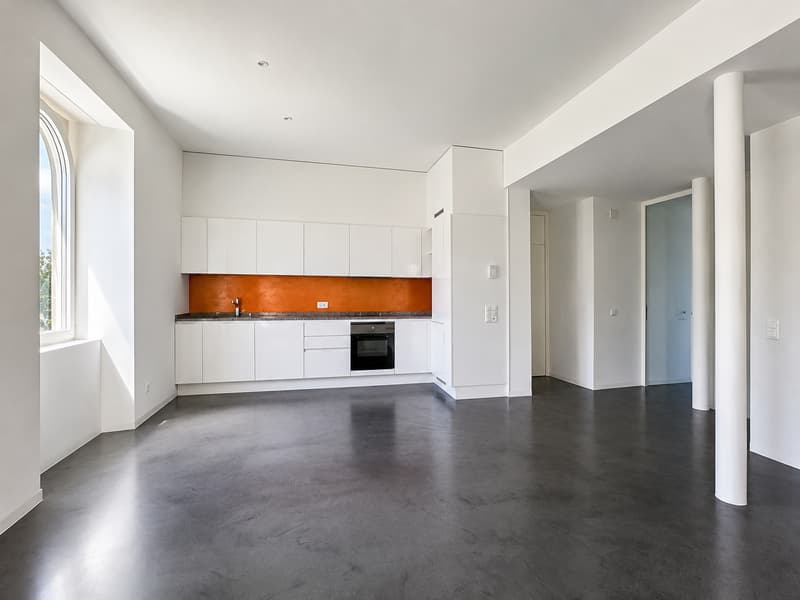 Chiasso centro: prestigiosa villa storica rinnovata con 3 appartamenti da reddito (6)