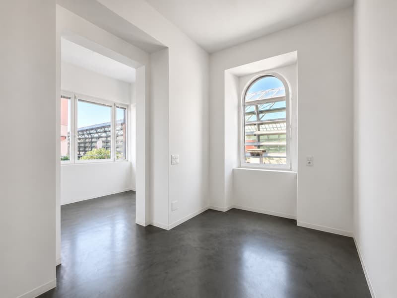 Chiasso centro: prestigiosa villa storica rinnovata con 3 appartamenti da reddito (7)
