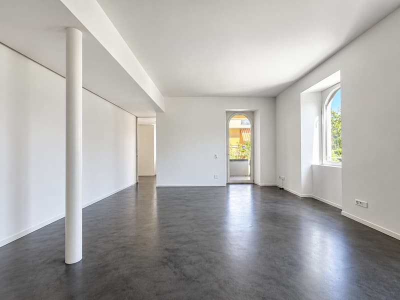 Chiasso: Affittasi moderno appartamento 4.5 locali in villa storica rinnovata (2)
