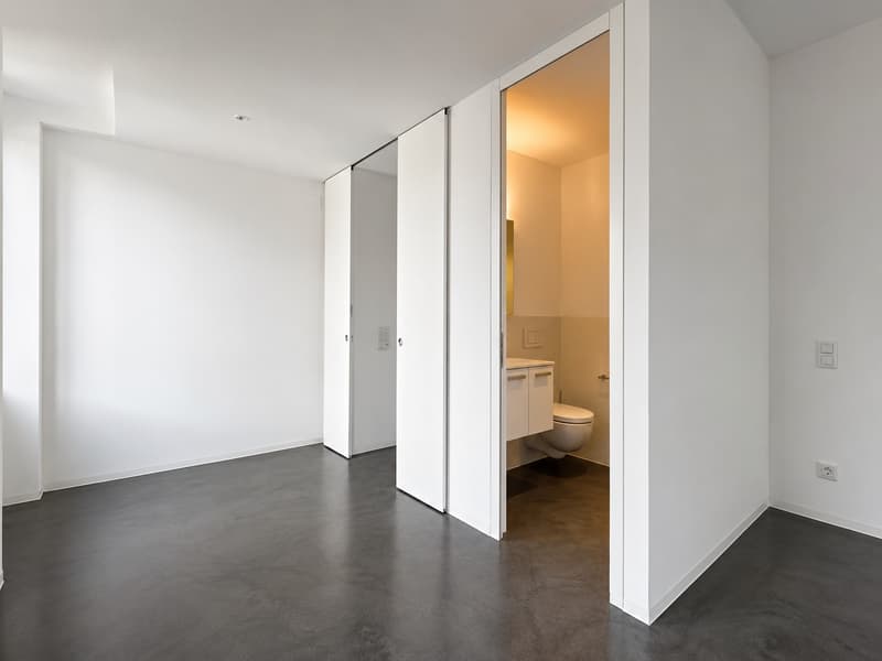 Chiasso: Affittasi moderno appartamento 4.5 locali in villa storica rinnovata (5)