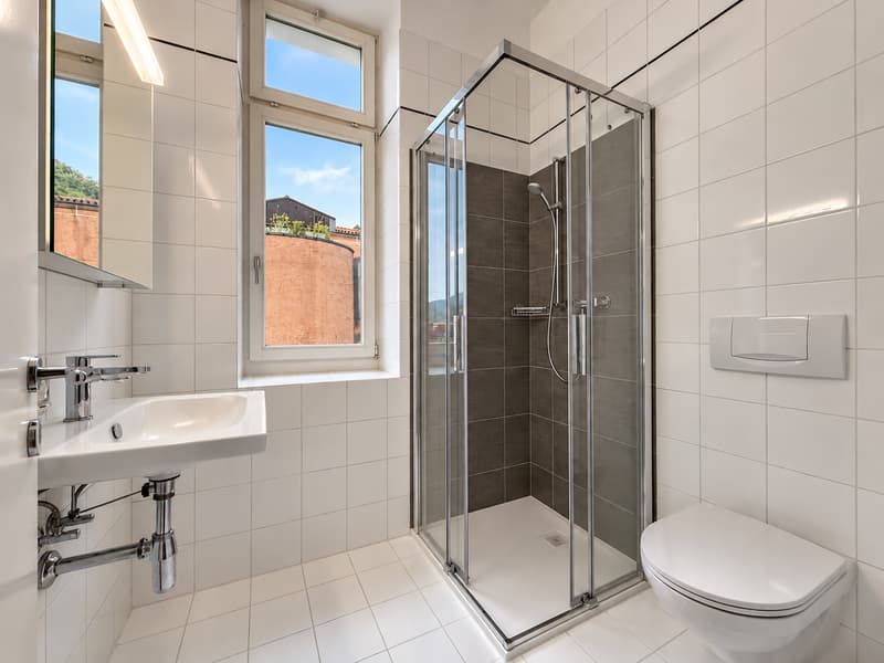 Bellinzona: Affittasi elegante e rinnovato 4.5 locali in stabile d'epoca a due passi dal centro (12)