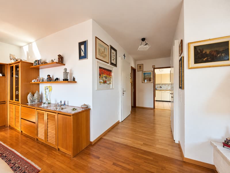 Lugano Viganello: Elegante attico 4.5 locali con spettacolare terrazza panoramica (7)
