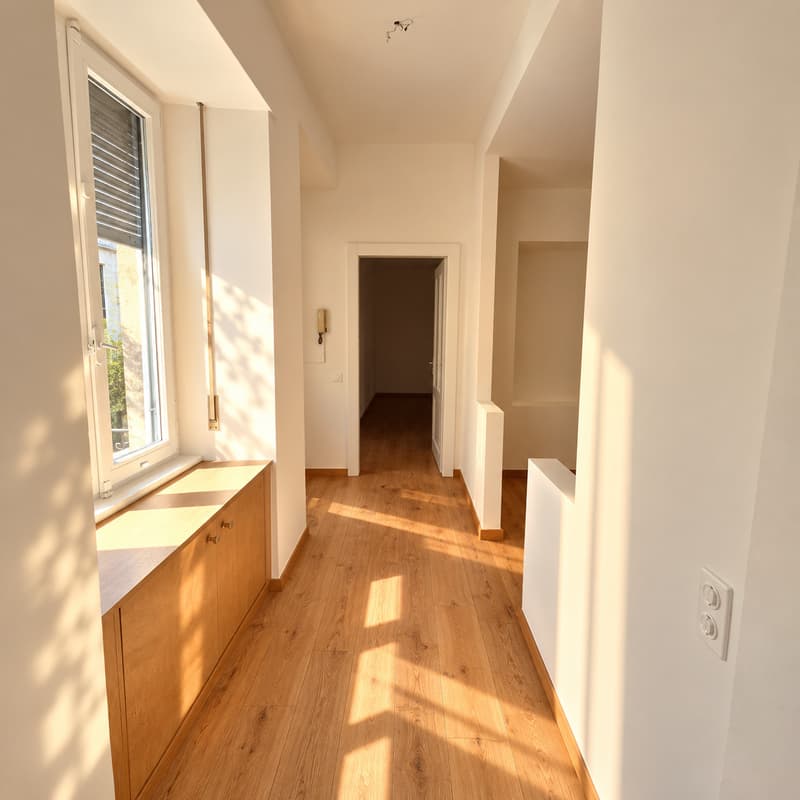 APPARTAMENTO 4.5 LOCALI RISTRUTTURATO (2)