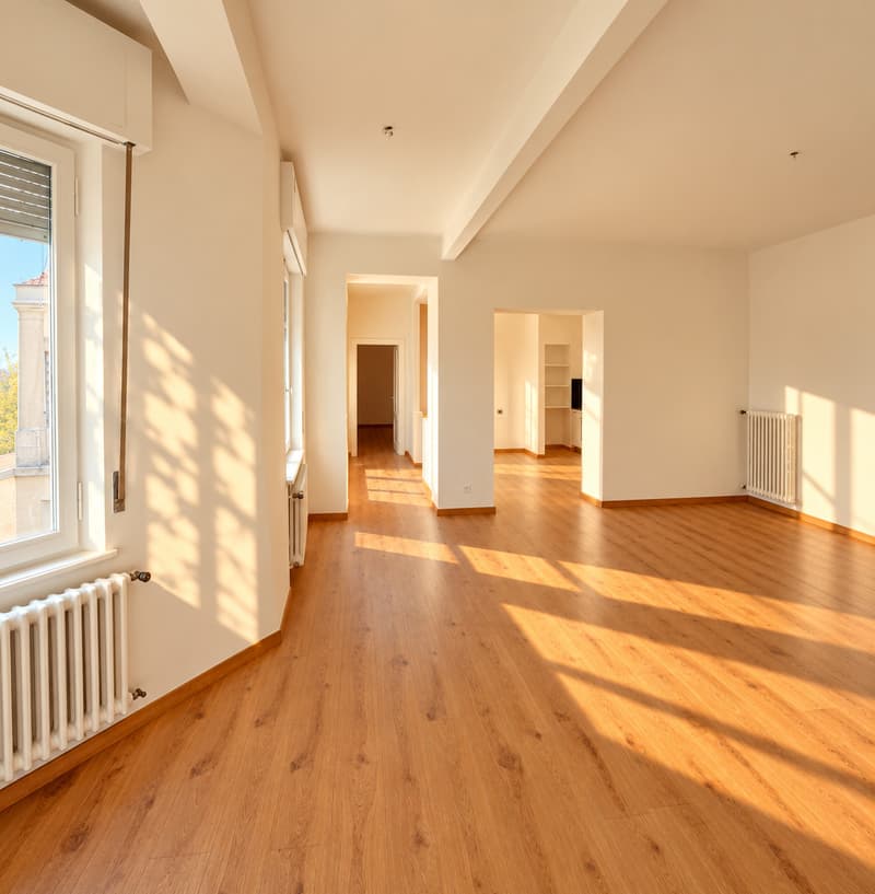 APPARTAMENTO 4.5 LOCALI RISTRUTTURATO (3)