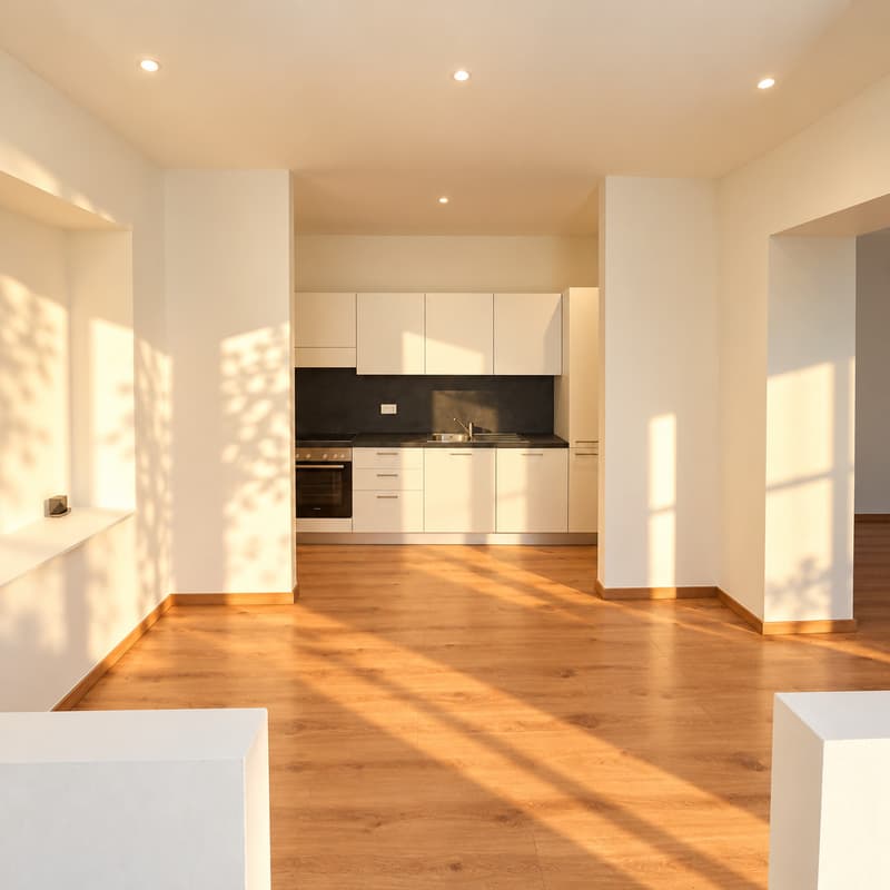 APPARTAMENTO 4.5 LOCALI RISTRUTTURATO (5)