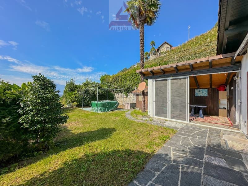 stone paved walkway, grassy yard, covered table, small palm tree, green tarp