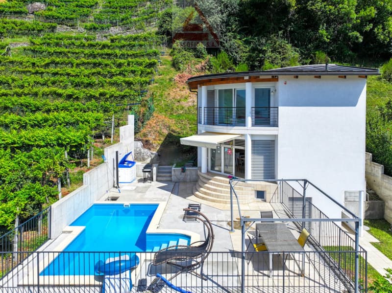 Modern house, white exterior, pool, terrace, panoramic view of vineyards and mountains