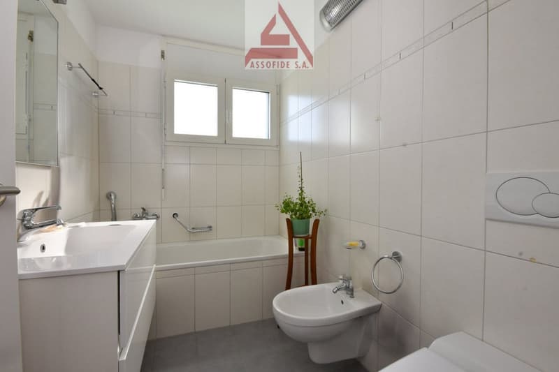 Bathroom with white tiles, bathtub, sink, toilet, bidet, mirror, potted plant, and a window.