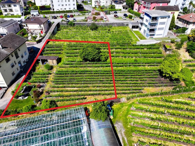 The image shows an aerial view of a residential area with a large terraced garden or vineyard in the center, surrounded by multi-story residential buildings. The terraced garden or vineyard appears to be situated on a raised ground floor, with the buildin