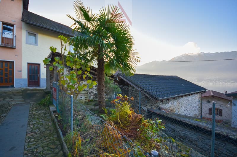 Garden with plants, trees, and a fence, with a view of mountains in the background