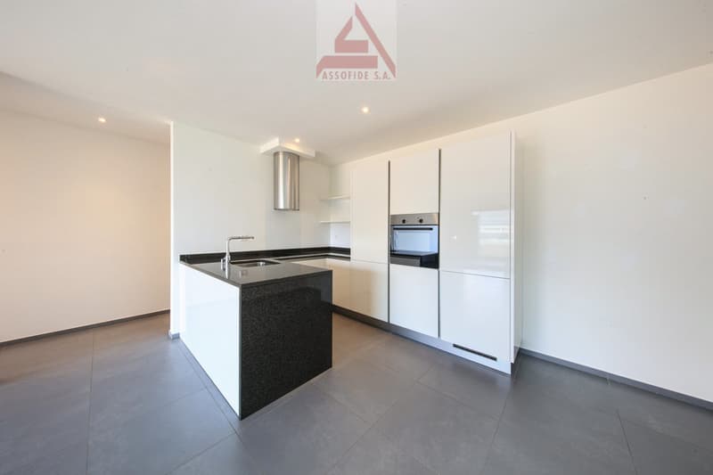modern kitchen with white cabinets, black granite countertop, stainless steel sink, built-in oven and dishwasher, extractor hood