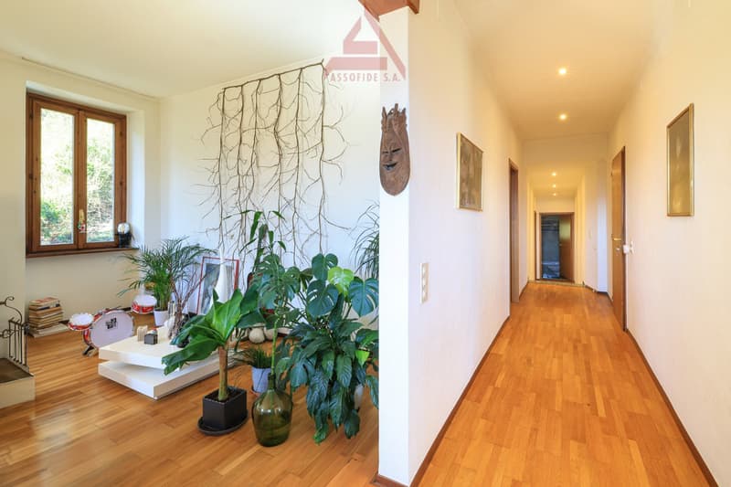 wooden floor, white walls, plants, drum set, window, picture frames, hallway