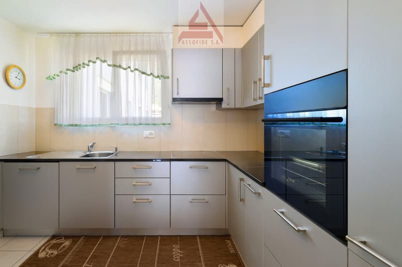 Luminoso 4.5 locali con terrazza / Helle 4.5 - Zimmerwohnung (2)