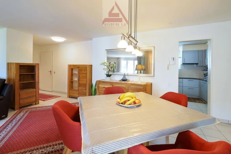 Luminoso 4.5 locali con terrazza / Helle 4.5 - Zimmerwohnung (3)
