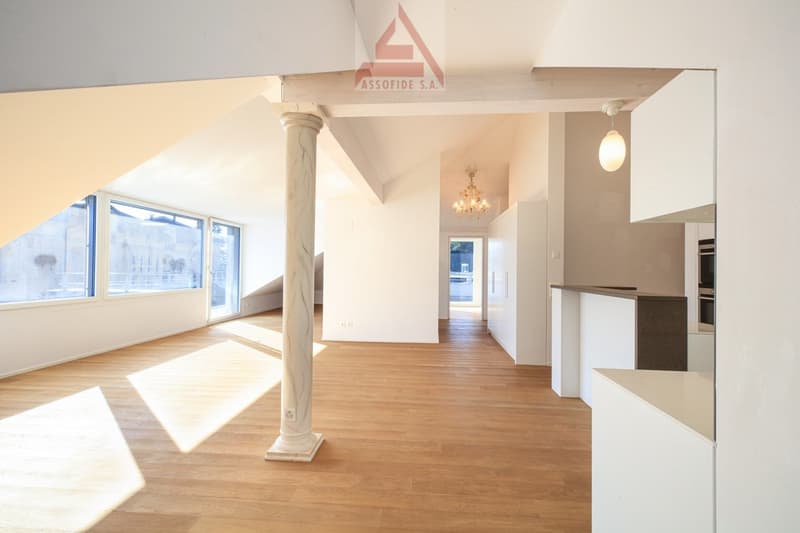 Splendido attico di 3.5 locali / Wunderschöne 3.5-Zimmer-Attikawohnung (3)