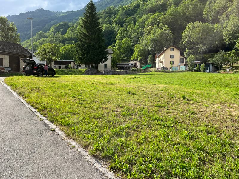 green grass, mountain in the background, houses on the far side