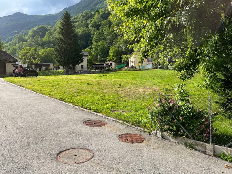 a concrete driveway with coverable drainage grates, a grassy plot with some trees, a distant mountain, and houses