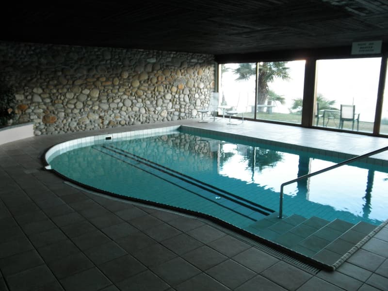 indoor swimming pool with a view to the outside, made of tiles, pool steps