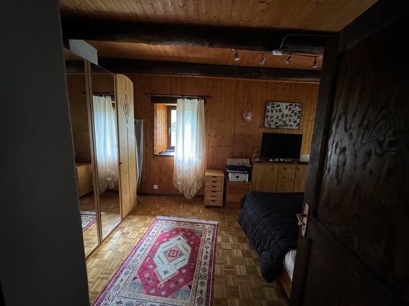 wooden walls, parquet floor, large mirror, rug, bed, TV, wooden cabinet, drawers, picture frame