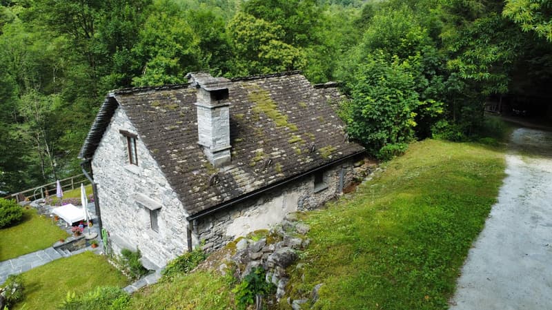 Stone house, mossy roof, chimney, surrounded by greenery, driveway