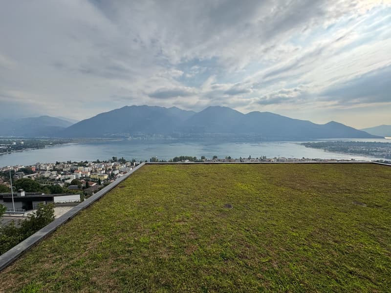 Charmante 1.5-Zimmer-Wohnung mit Balkon und Seeblick in Minusio (1)