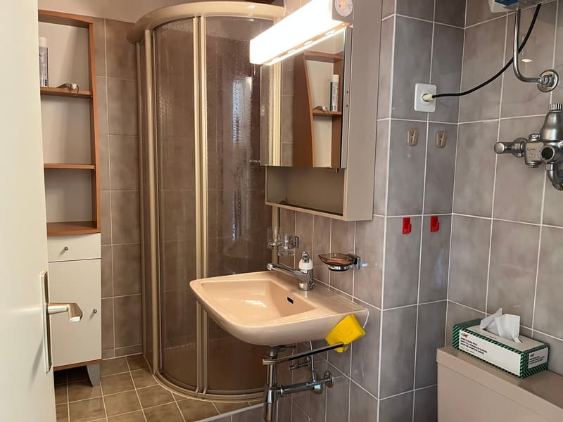 Schöne 1.5 Zimmer-Wohnung in sonniger, zentraler und ruhiger Lage (6)