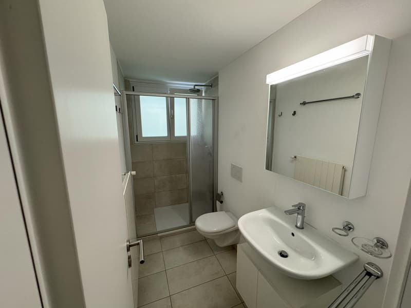 Schöne 3.5-Zimmer-Wohnung in Muralto, in der Nähe des SBB-Bahnhofs, zu verkaufen (8)