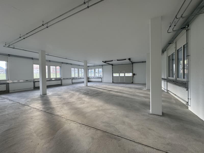 Ihr Platz für Erfolg: Flexible Gewerbeflächen in Alpnach (6)