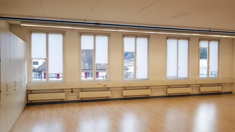 Commercial property in Strengelbach (3)