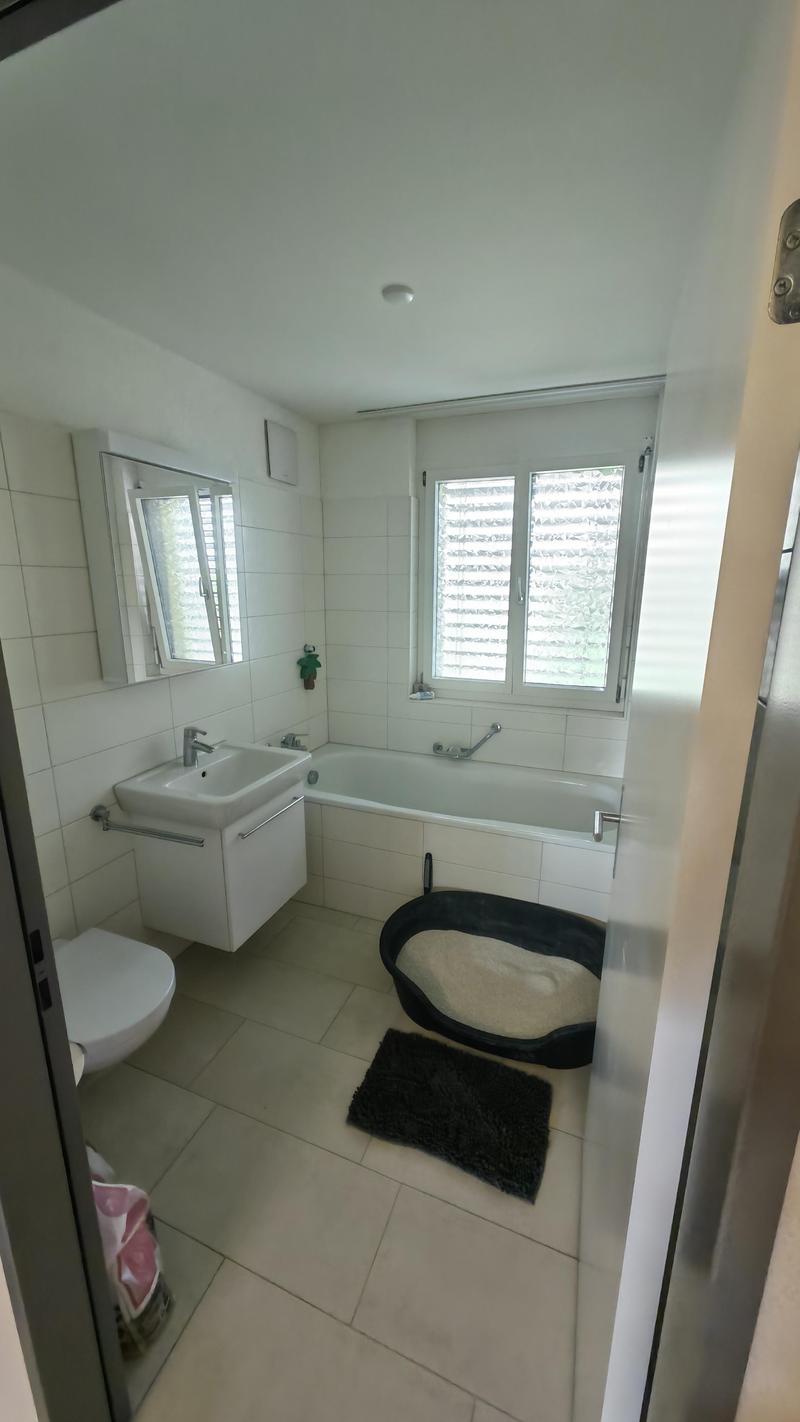3.5 Zimmerwohnung in Seengen (2)