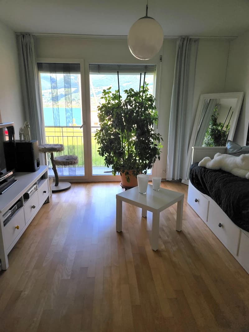 4.5 Zimmerwohnung in Wilen (Sarnen) (5)