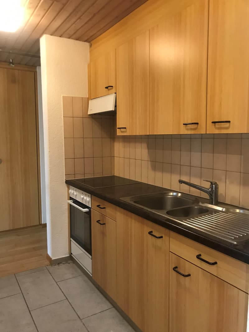 3.0 Zimmerwohnung in Luzern (2)