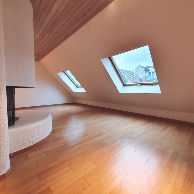 3.0 Zimmerwohnung in Luzern (3)
