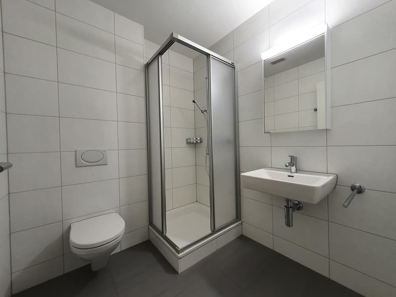 3.5 Zimmerwohnung in Kriens (8)