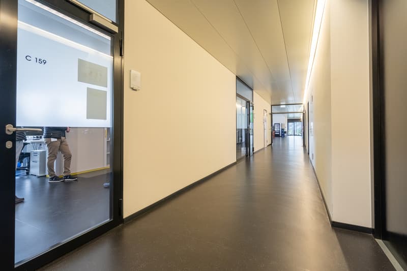 Exclusive investment opportunity: rental property in Jonen (AG) (8)