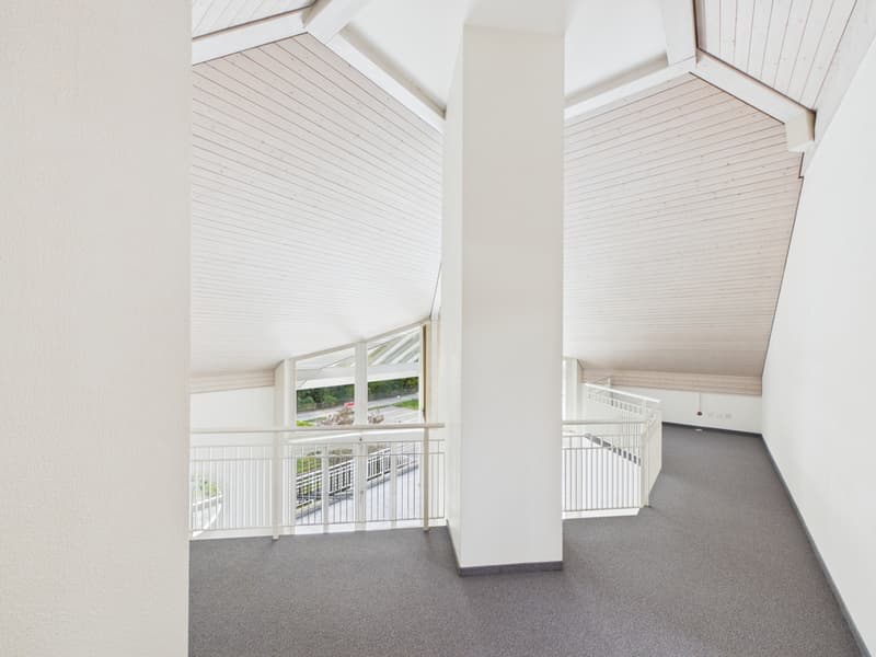 Galerie