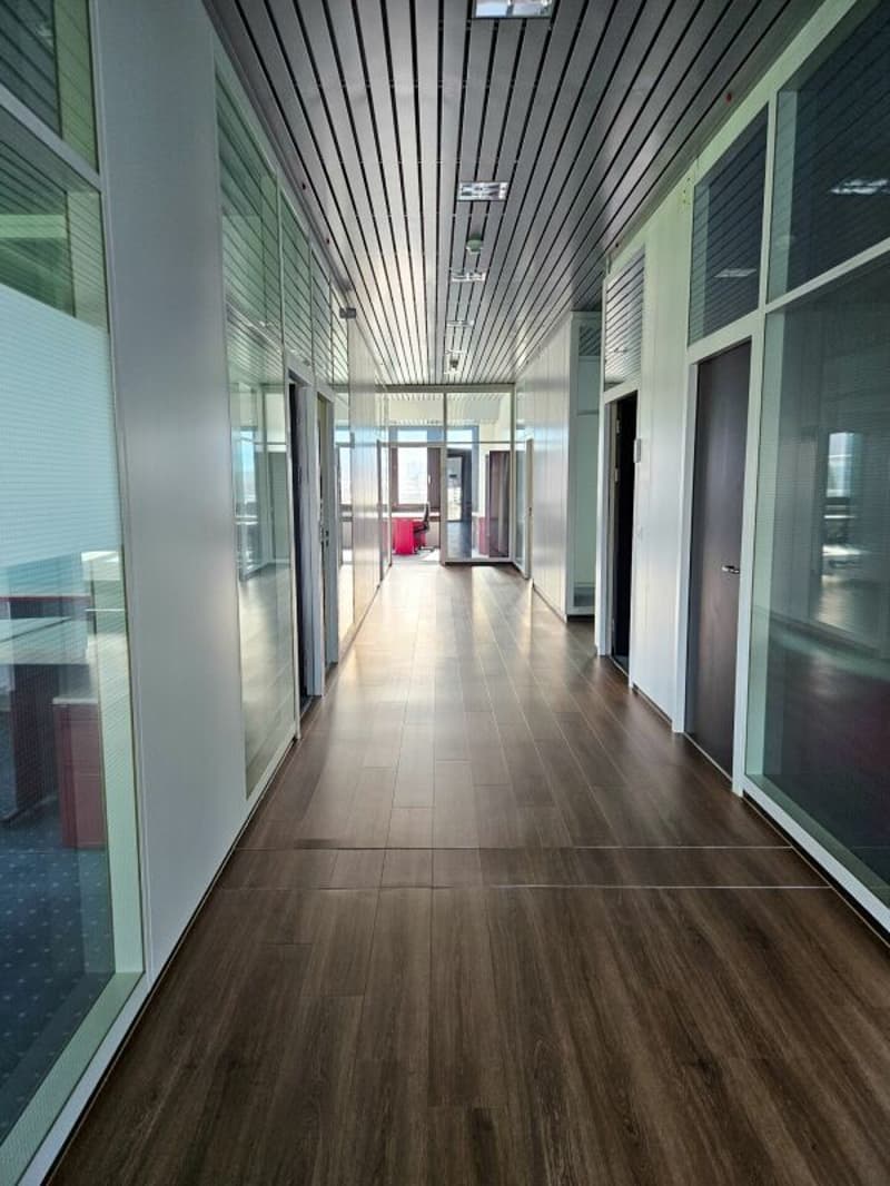 Grand espace de bureau de 912 m2 à Lucerne (6)