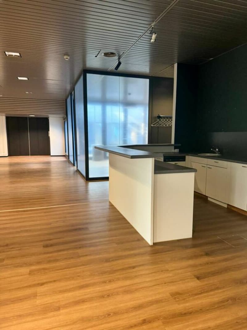 Grand espace de bureau de 912 m2 à Lucerne (5)