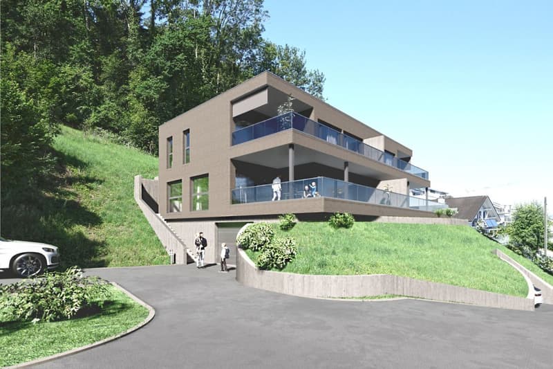 Neubauprojekt "Pilatusblick" Doppeleinfamilienhaus (2)