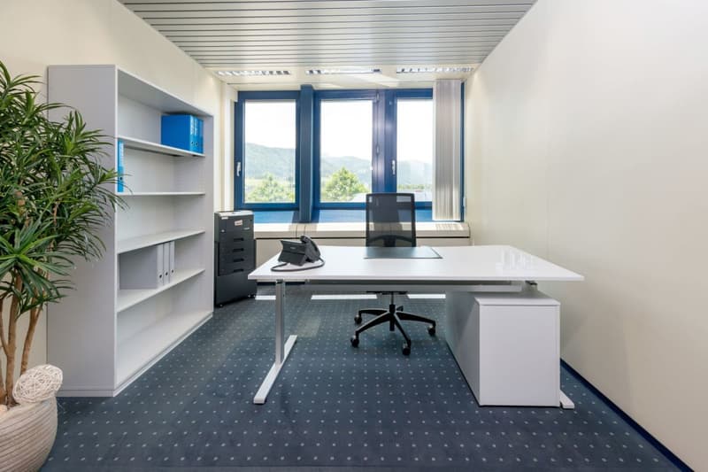 Musterbüro