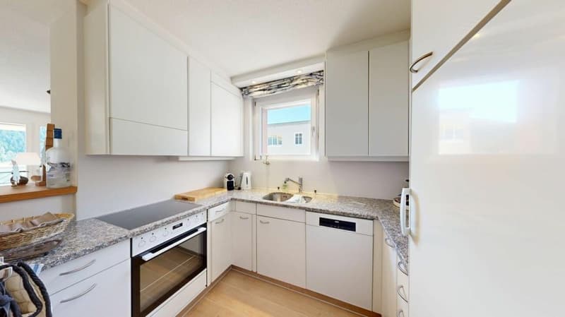Appartement en duplex de 3,5 pièces ensoleillé à une hauteur élevée (6)