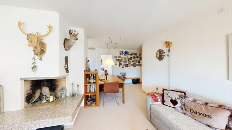 Appartement en duplex de 3,5 pièces ensoleillé à une hauteur élevée (5)