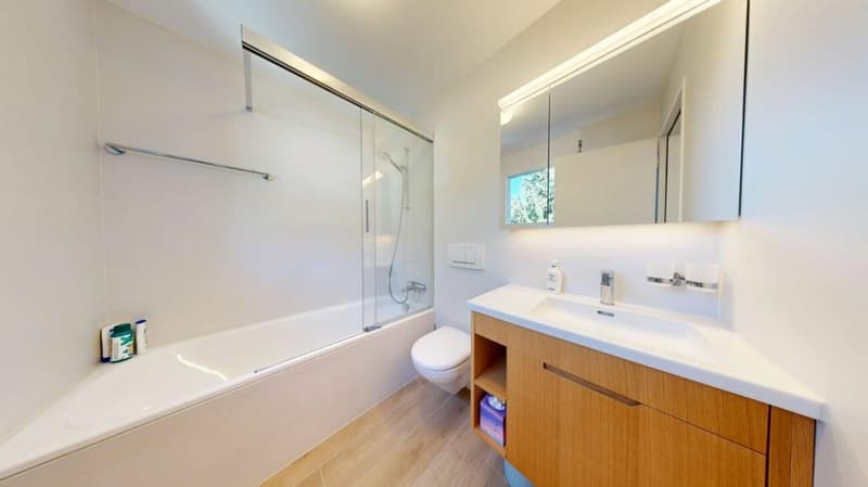 Appartement en duplex de 3,5 pièces ensoleillé à une hauteur élevée (8)