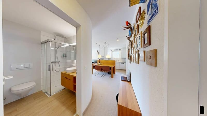 Appartement en duplex de 3,5 pièces ensoleillé à une hauteur élevée (7)
