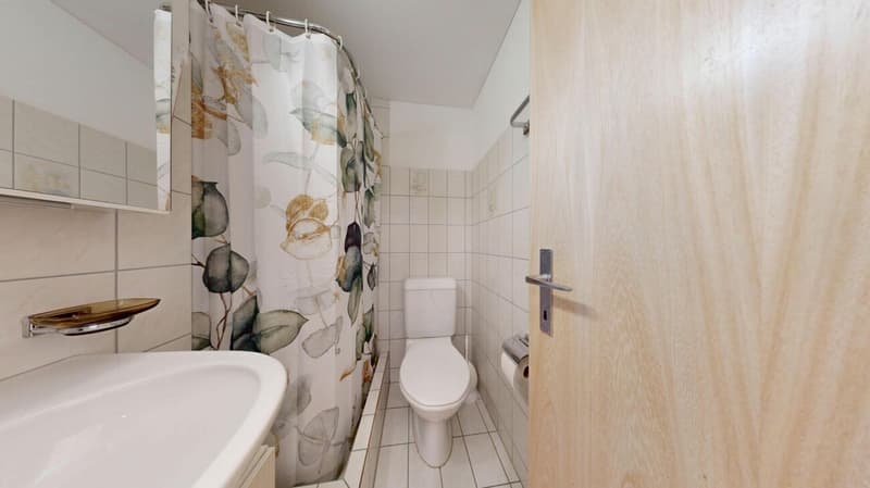 Heimelige 2.5-Zimmer-Wohnung mit Ausblick (8)