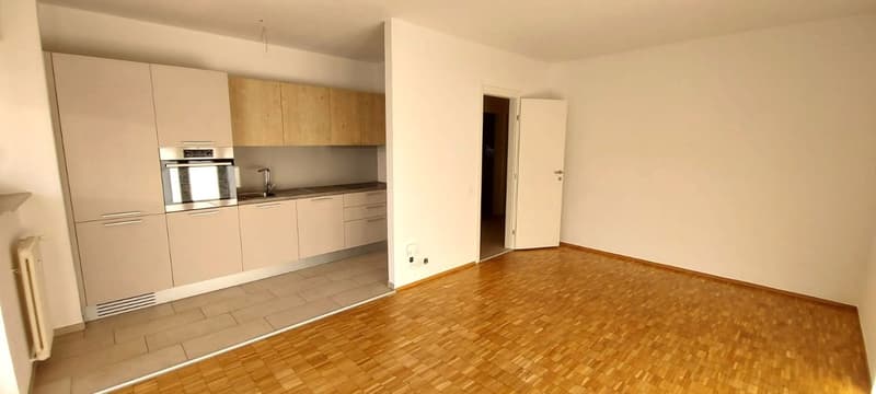 Appartamento di 1.5 locali in via Brentani 3 (2)