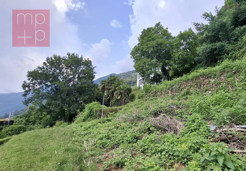 Terreno per costruire - Brissago (5)