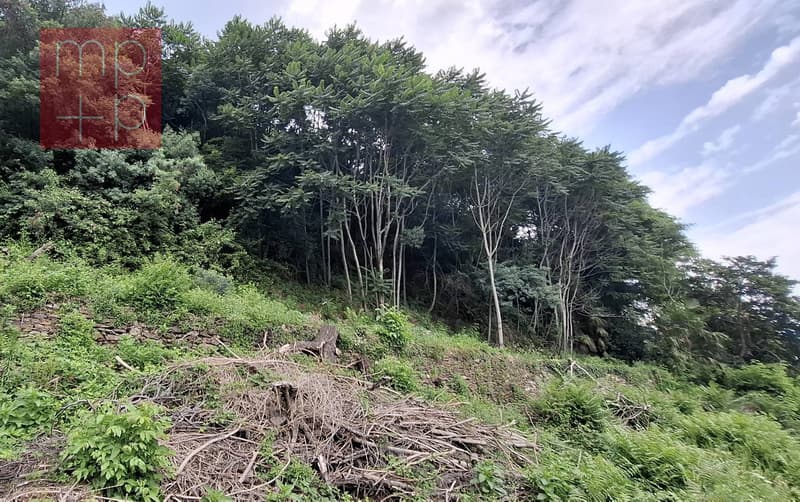 Terreno per costruire - Brissago (8)