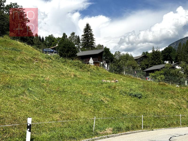 Terreno per costruire - Dalpe (3)