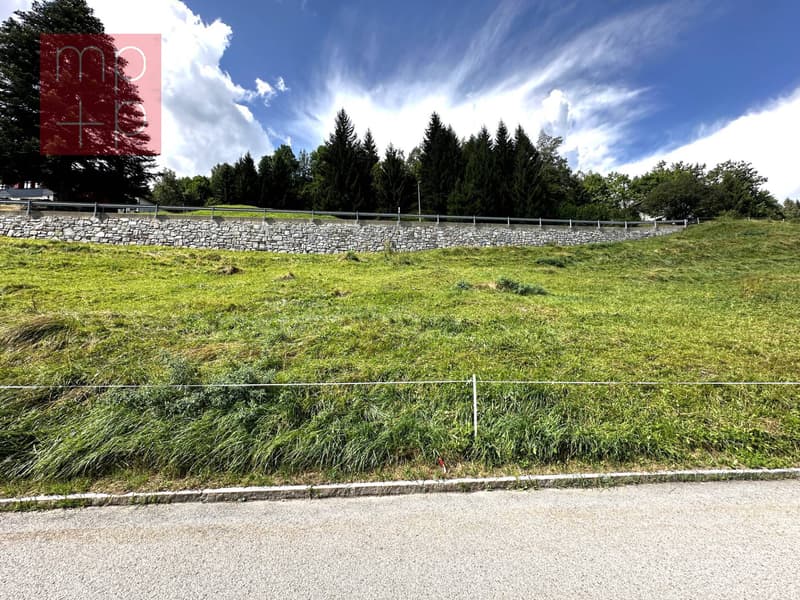 Terreno per costruire - Dalpe (5)